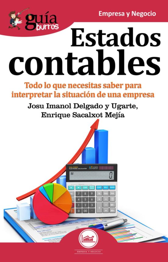 Guiaburros Estados Contables: Como Interpretar La Situacion Contable D