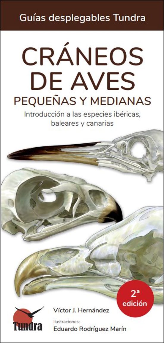 Craneos De Aves Pequeñas Y Medianas 2º Ed.- Guias Desplegables T Undr