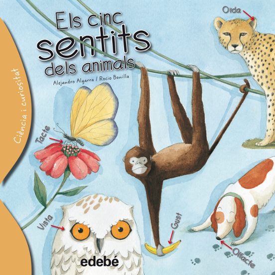 Els Cinc Sentits Dels Animals