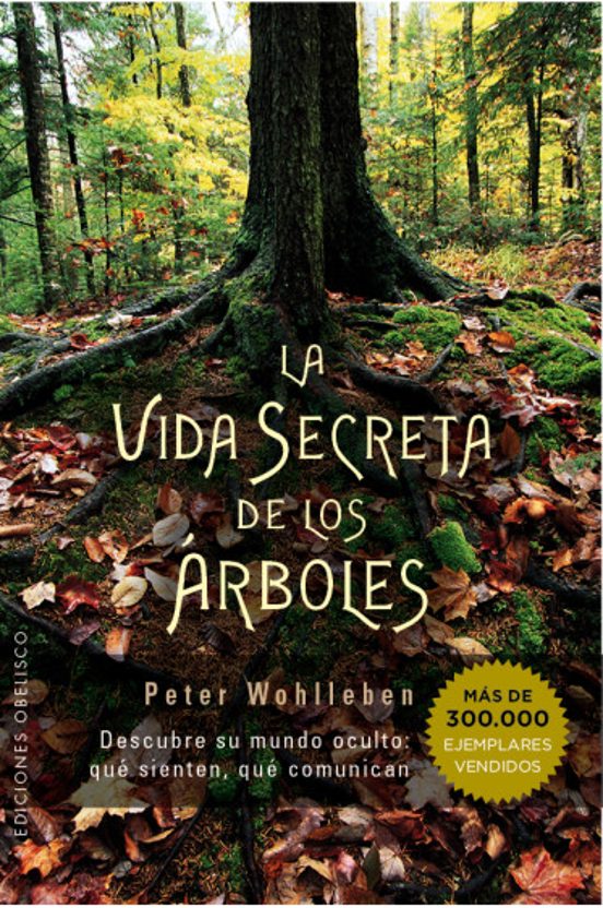 La Vida Secreta De Los Arboles: Descubre Su Mundo Oculto: Que Sienten