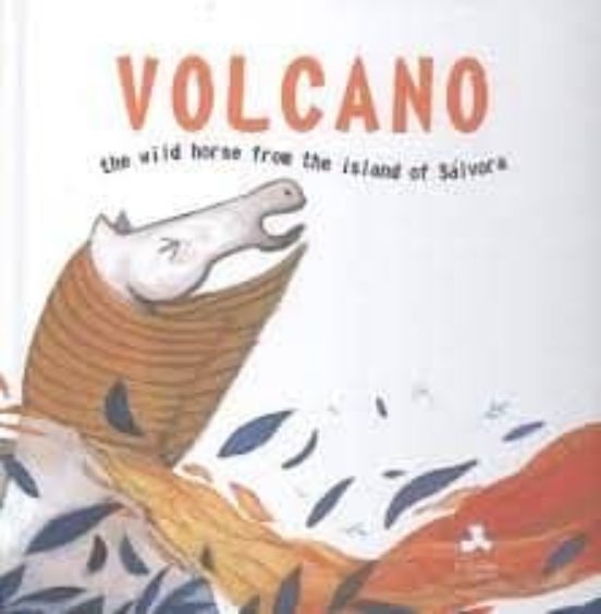 Volcano