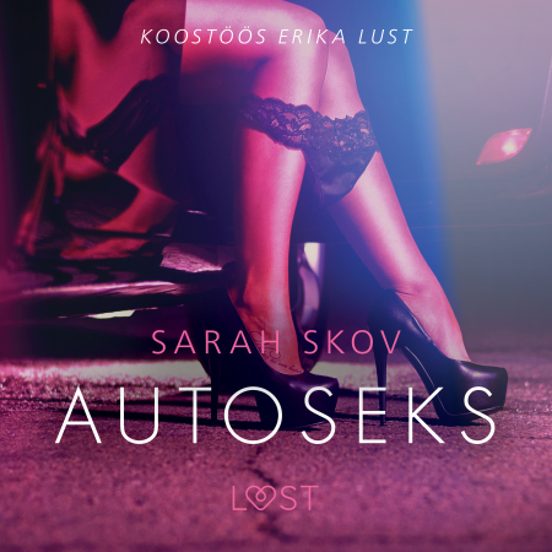 Autoseks - Erootiline Lühijutt