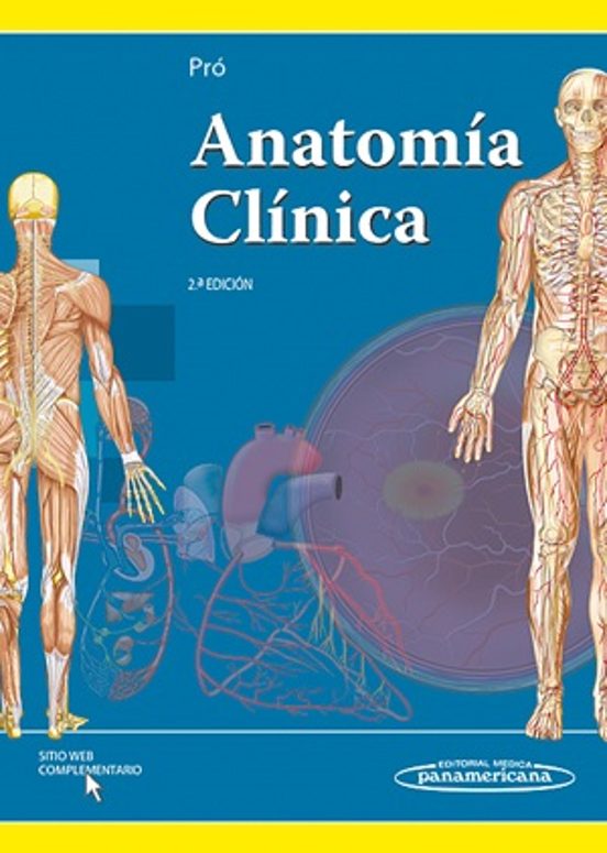 Anatomía Clinica