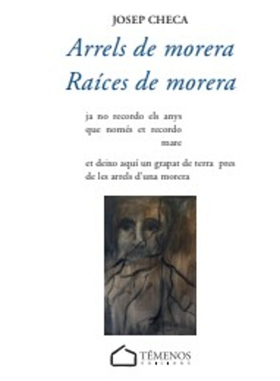 Arrels de morera / Raíces de morera