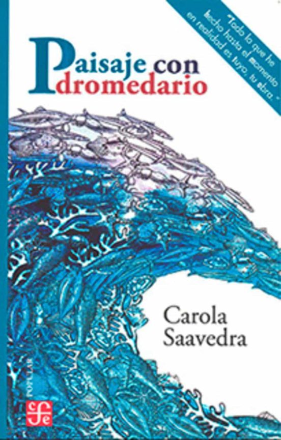 Paisaje con Dromedario