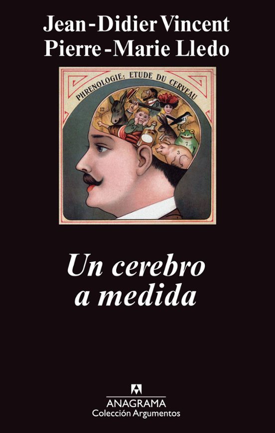 Un Cerebro A Medida