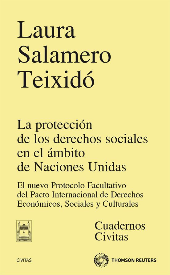 Proteccion De Los Derechos Sociales En El Ambito De Naciones Unid As