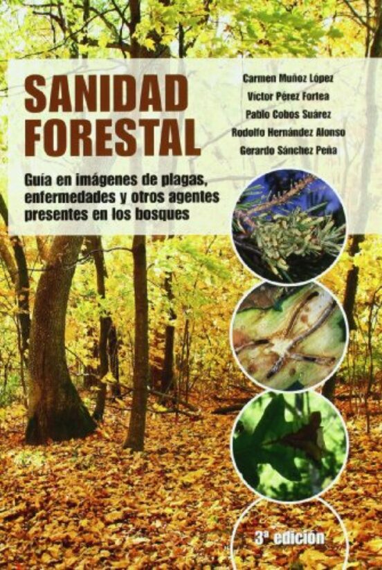 Sanidad Forestal : Guia en Imagenes de Plagas Enfermedad Es y