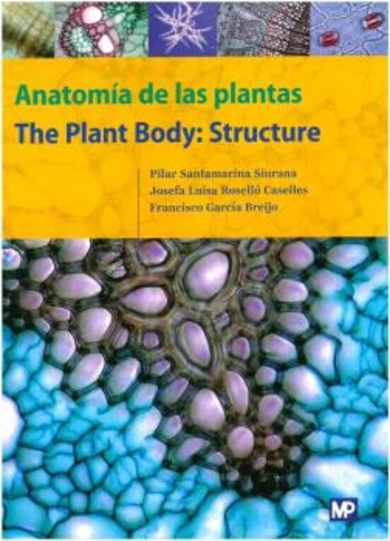 Anatomia de las Plantas