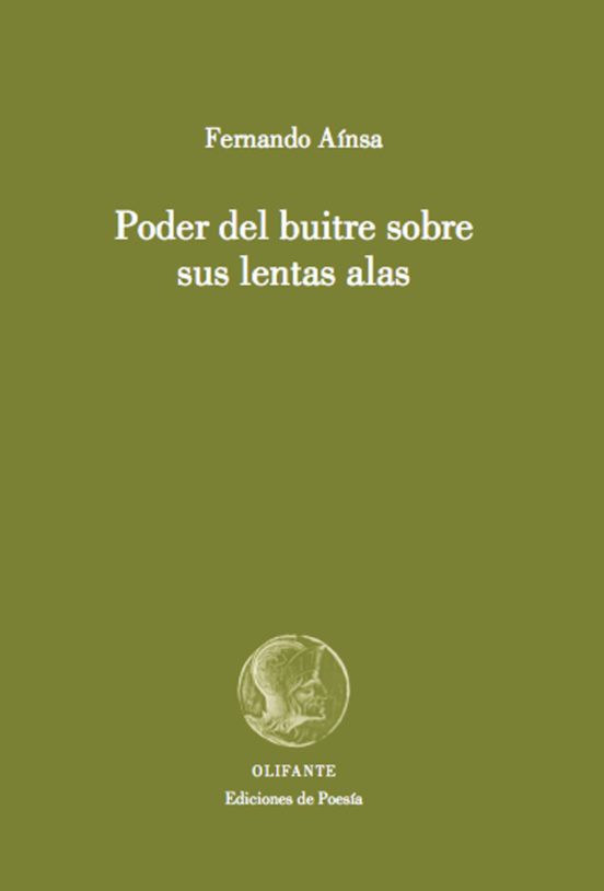 Poder Del Buitre Sobre Sus Lentas Alas