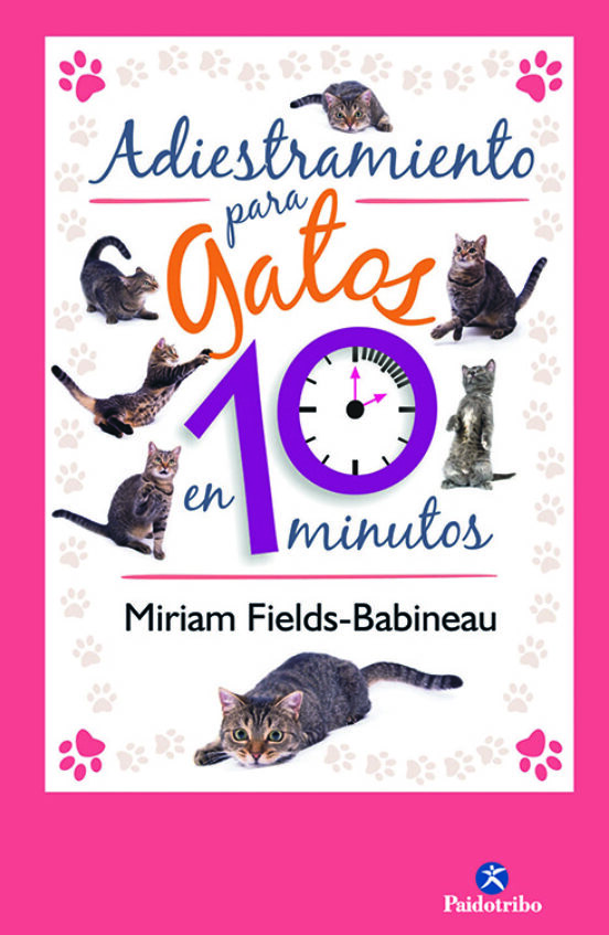 Adiestramiento Para Gatos En 10 Minutos