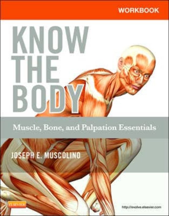 Workbook For Know The Body: Muscle Bone And Palpation Essential S