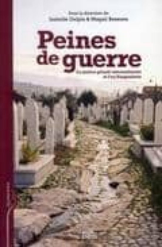 Peines De Guerre: La Justice Penale Internationale Et L Ex-yougo