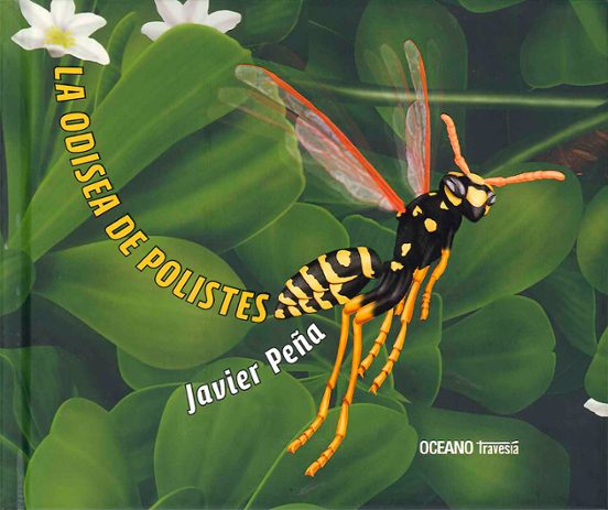 La Odisea De Polistes