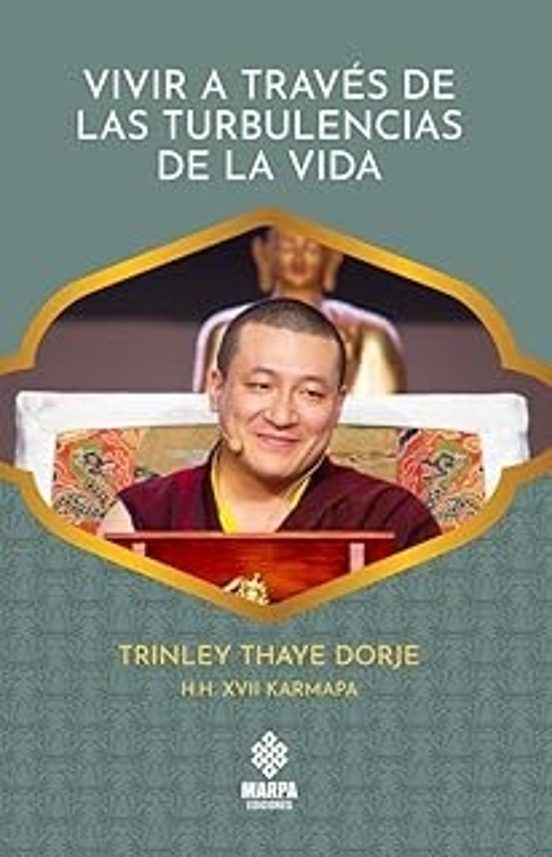 Vivir A Través De Las Turbulencias De La Vida
