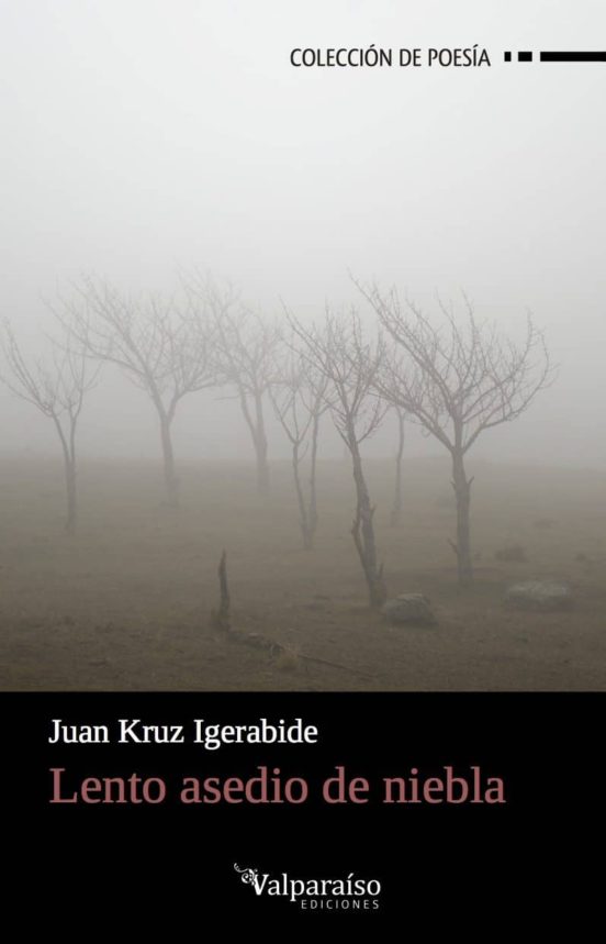 Lento Asedio De Niebla