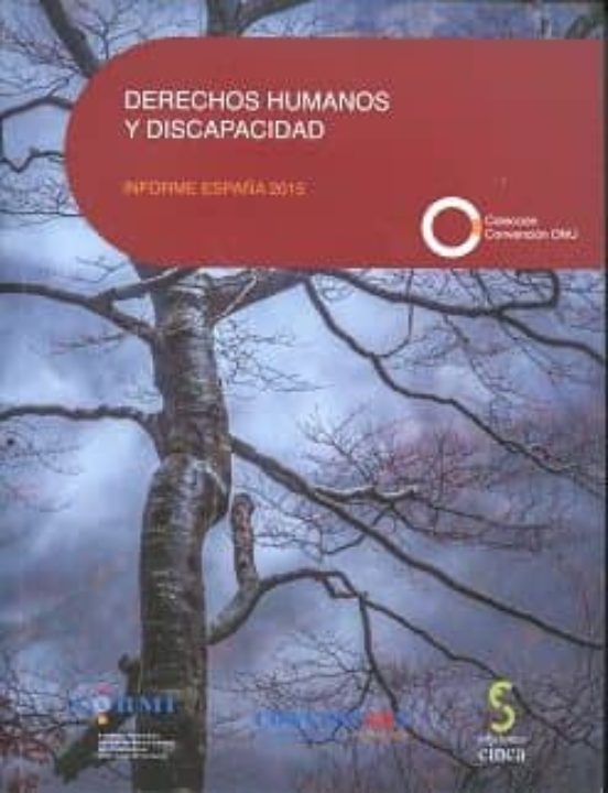 Derechos Humanos Y Discapacidad