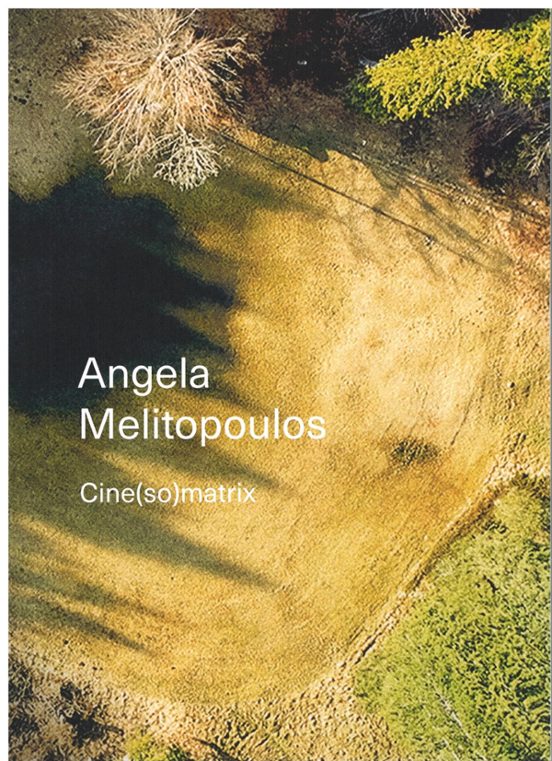 Angela Melitopoulos. Cine matrix
