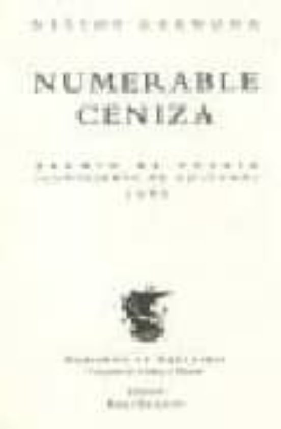 Numerable Ceniza