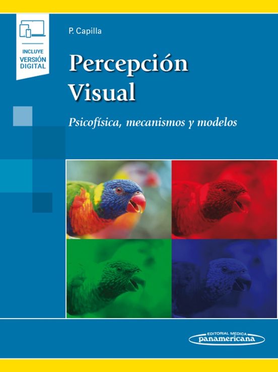 Percepcion Visual : Psicofisica Mecanismos Y