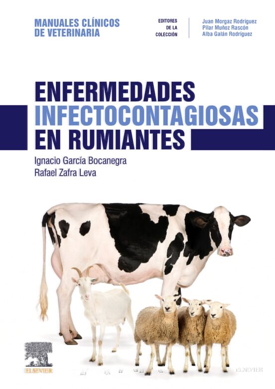 Enfermedades Infectocontagiosas En Rumiantes: Manuales Clinicos De Vet