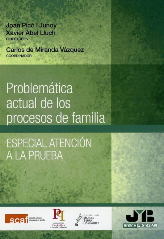 Problematica Actual De Los Procesos De Familia