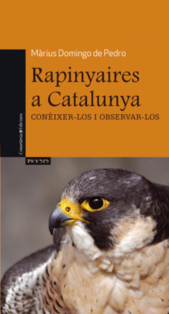 Rapinyaires A Catalunya Coneixer-los I Observar-los