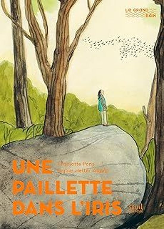 Une Paillette Dans L Iris