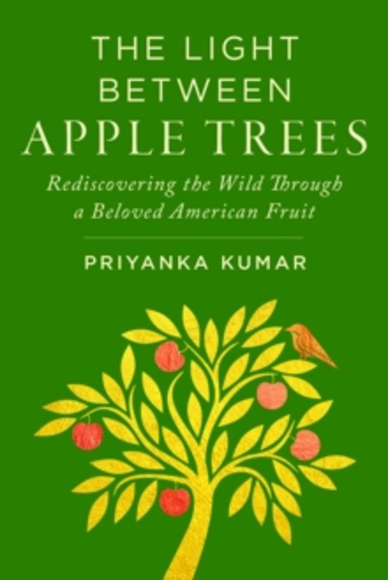 The Light Between Apple Trees