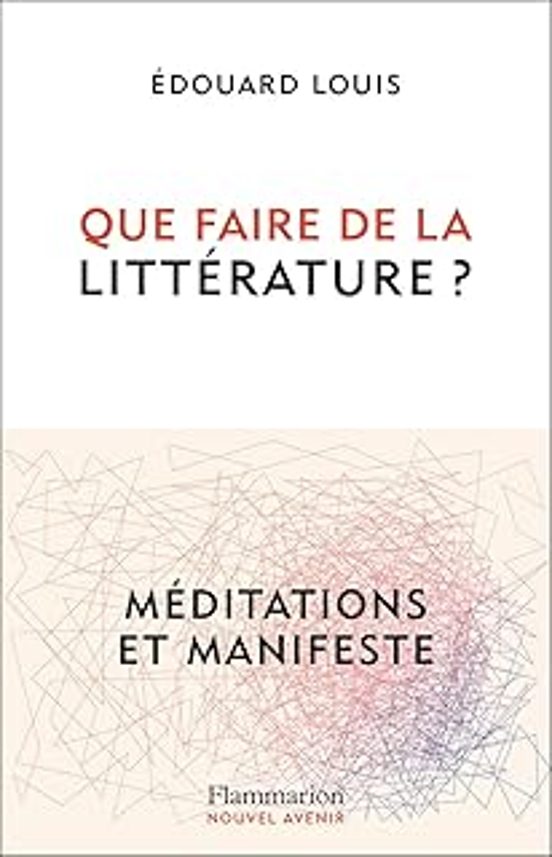 Que Faire De La Litterature ?