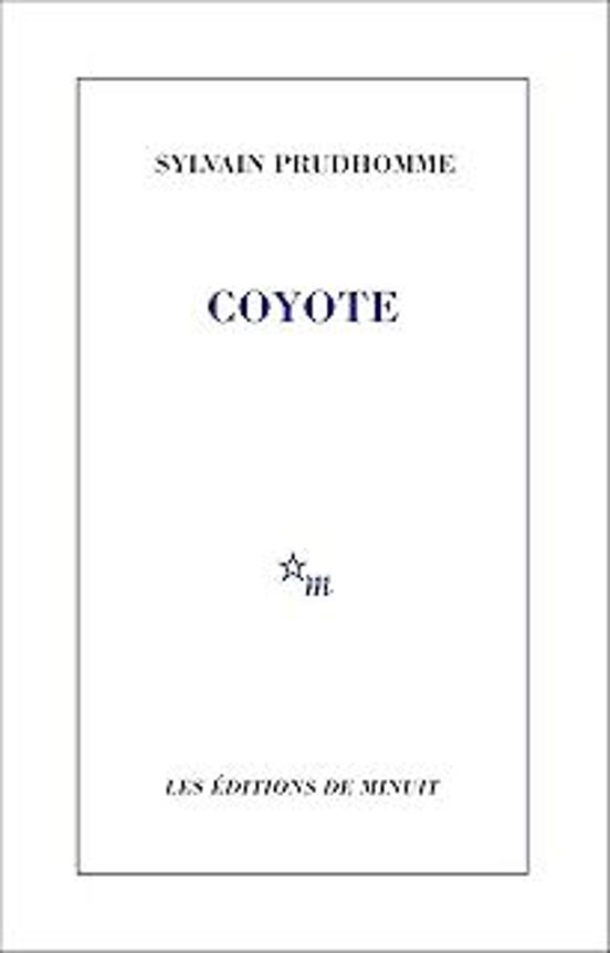 Coyote