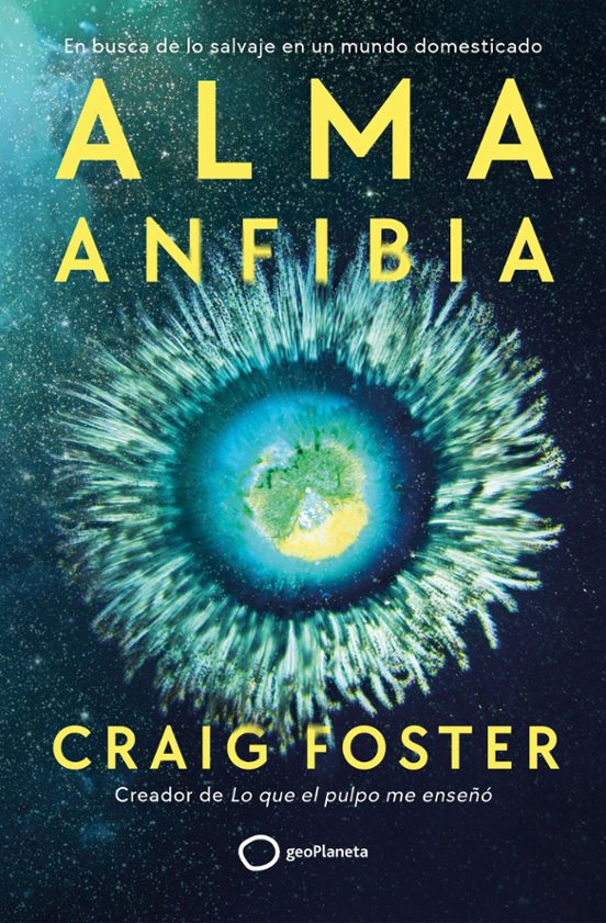 Alma Anfibia