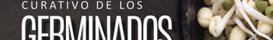 El Poder Curativo De Los Germinados