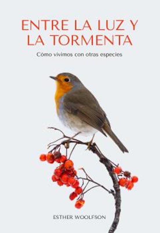 Entre La Luz Y La Tormenta