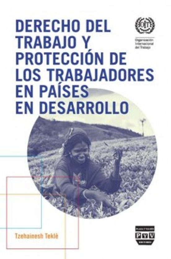 Derecho Del Trabajo Y Protección De Los Trabajadores En Países De Desarrollo