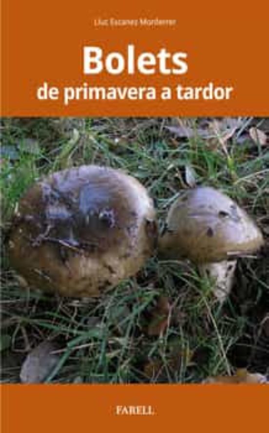 Bolets De Primavera A La Tardor