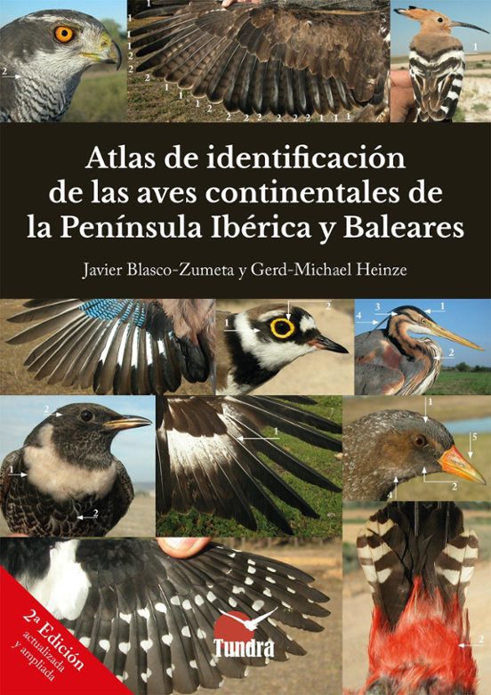 Atlas de identificación de las aves continentales de la península ibérica y Baleares