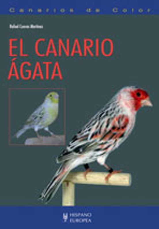 El Canario Agata