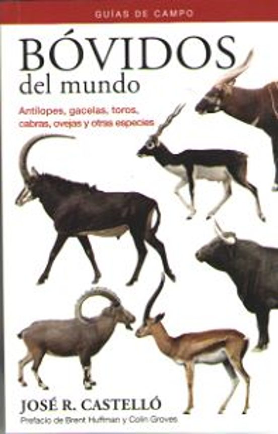 Bovidos Del Mundo - Guias De Campo: Antilopes Gacelas Toros Cabras Ov