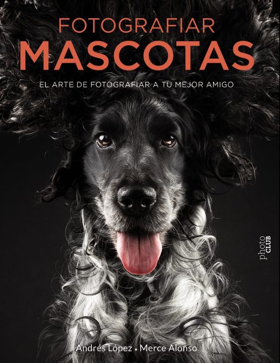 Fotografiar Mascotas. El Arte De Fotografiar A Tu Mejor Amigo