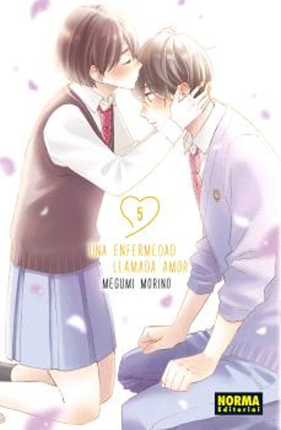 Una enfermedad llamada amor 5