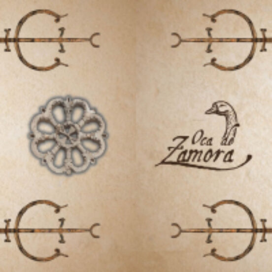 Juego De La Oca De Zamora