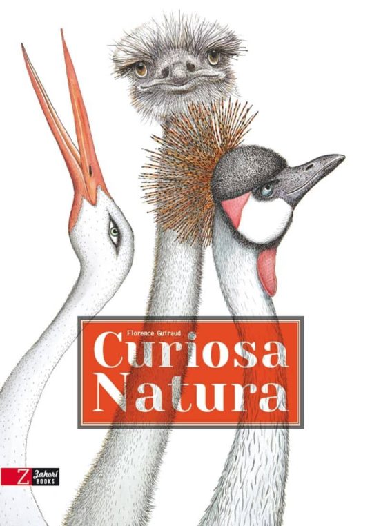 Curiosa Natura