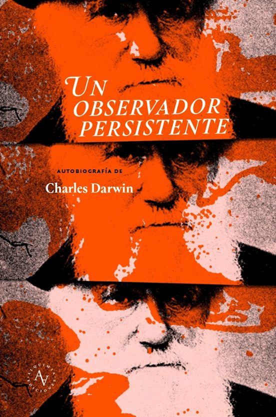 Un Observador Persistente
