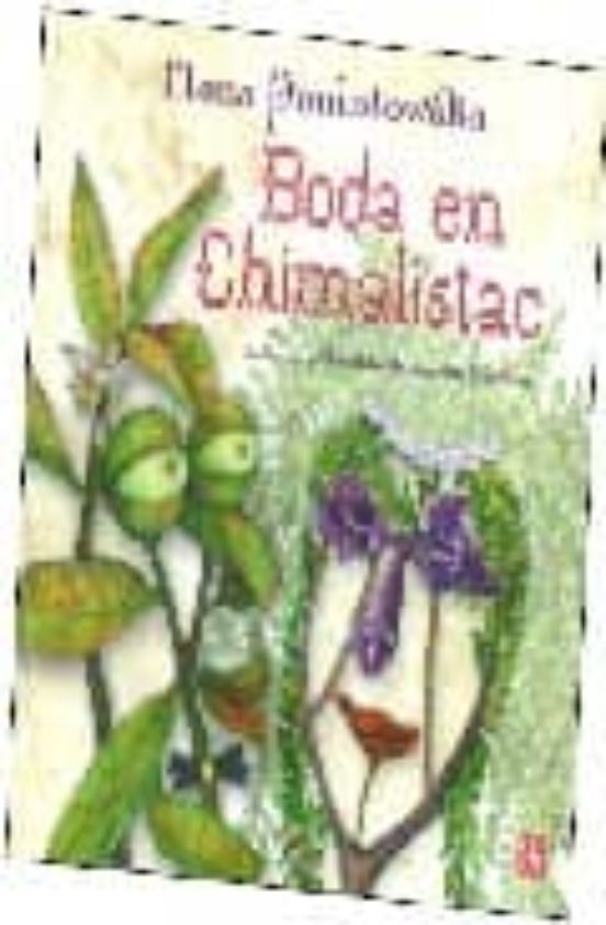 Boda En Chimalistac