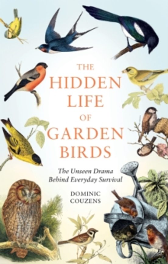 The Hidden Life Of Garden Birds