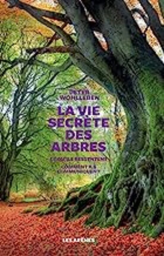 La Vie Secrète Des Arbres: Ce Qu Ils Ressentent Comment Ils Communique