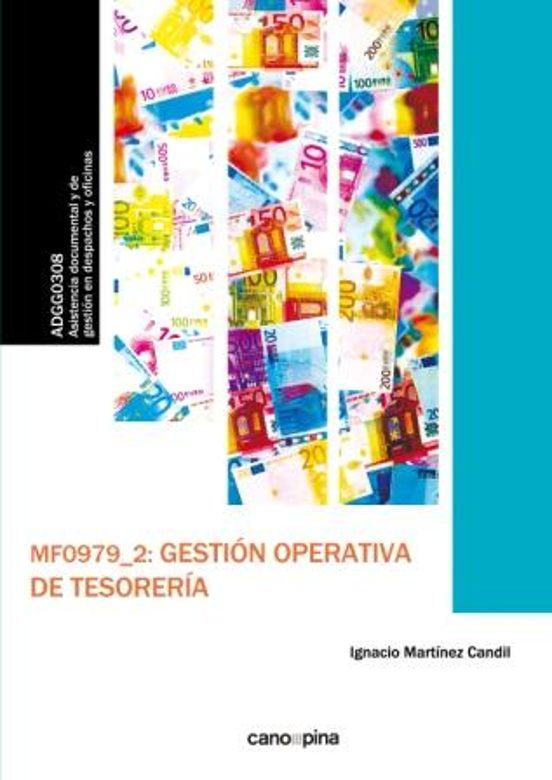 MF0979 Gestión Operativa De Tesorería
