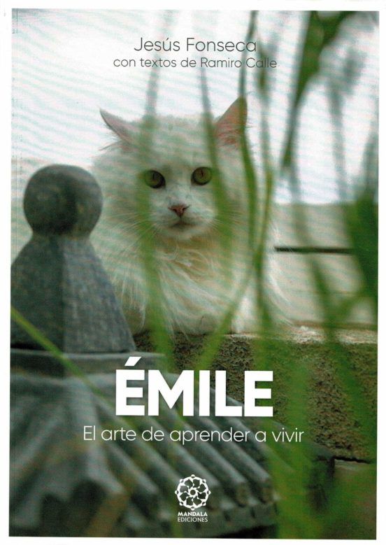 Emile. El Arte De Aprender A Vivir