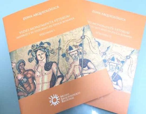 Zona Arqueologica 20. Volumen I Y Ii